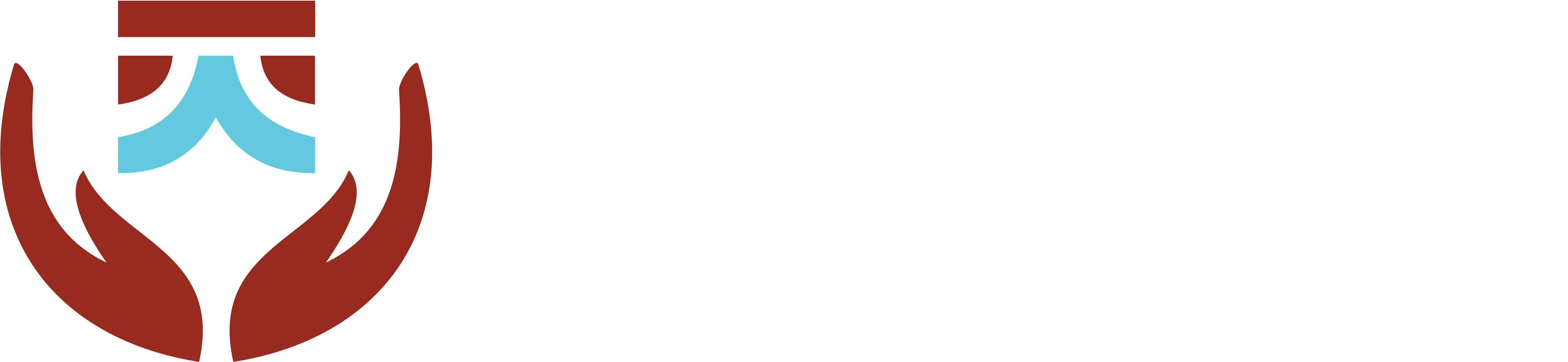 Kostic Healthcare logo